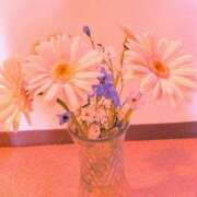 ヒメ日記 2025/05/31 08:48 投稿 川村ゆみ 恋する妻たち