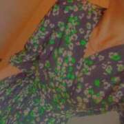 ヒメ日記 2025/06/09 08:18 投稿 川村ゆみ 恋する妻たち