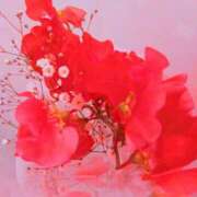 ヒメ日記 2025/06/10 07:18 投稿 川村ゆみ 恋する妻たち