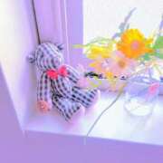 ヒメ日記 2025/06/27 08:18 投稿 川村ゆみ 恋する妻たち