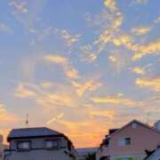 ヒメ日記 2025/06/30 07:58 投稿 川村ゆみ 恋する妻たち