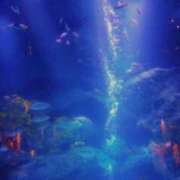 ヒメ日記 2025/07/04 08:18 投稿 川村ゆみ 恋する妻たち