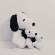 ヒメ日記 2025/07/23 08:18 投稿 川村ゆみ 恋する妻たち