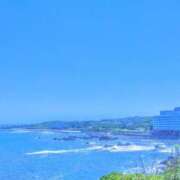 ヒメ日記 2025/07/29 07:48 投稿 川村ゆみ 恋する妻たち