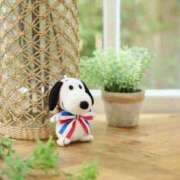 ヒメ日記 2025/08/07 08:28 投稿 川村ゆみ 恋する妻たち