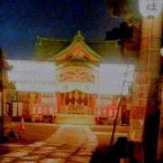 ヒメ日記 2025/08/28 08:18 投稿 川村ゆみ 恋する妻たち