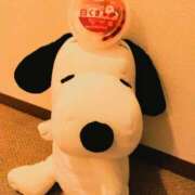 ヒメ日記 2025/08/29 08:28 投稿 川村ゆみ 恋する妻たち