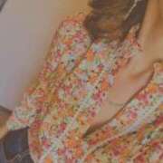 ヒメ日記 2025/09/02 14:08 投稿 川村ゆみ 恋する妻たち