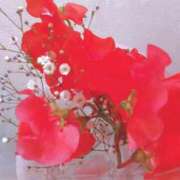 ヒメ日記 2025/09/19 08:24 投稿 川村ゆみ 恋する妻たち