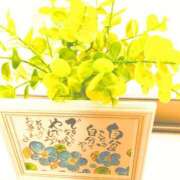 ヒメ日記 2025/10/02 08:48 投稿 川村ゆみ 恋する妻たち