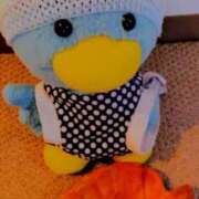 ヒメ日記 2025/10/06 07:48 投稿 川村ゆみ 恋する妻たち