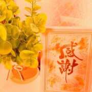 ヒメ日記 2025/11/17 07:58 投稿 川村ゆみ 恋する妻たち