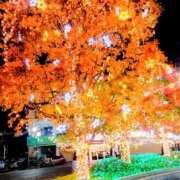 ヒメ日記 2025/11/18 07:28 投稿 川村ゆみ 恋する妻たち