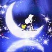 ヒメ日記 2025/11/21 08:18 投稿 川村ゆみ 恋する妻たち