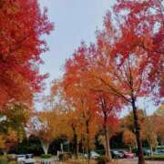 川村ゆみ おはようございます🍀 恋する妻たち