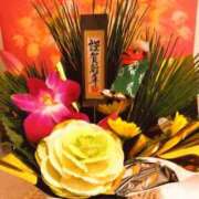 ヒメ日記 2026/01/05 08:28 投稿 川村ゆみ 恋する妻たち