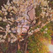 ヒメ日記 2026/02/12 07:53 投稿 川村ゆみ 恋する妻たち