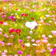 ヒメ日記 2026/03/24 08:18 投稿 川村ゆみ 恋する妻たち