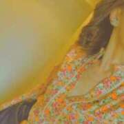 ヒメ日記 2026/03/30 08:18 投稿 川村ゆみ 恋する妻たち