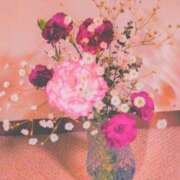 ヒメ日記 2026/04/02 08:28 投稿 川村ゆみ 恋する妻たち