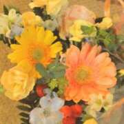 ヒメ日記 2026/05/14 08:18 投稿 川村ゆみ 恋する妻たち