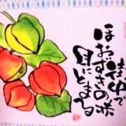 ヒメ日記 2026/07/15 07:48 投稿 川村ゆみ 恋する妻たち