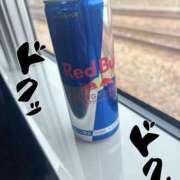 ヒメ日記 2025/03/13 10:47 投稿 めぐみ REDROOM (レッドルーム)