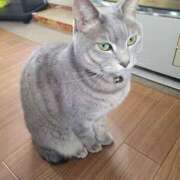 ヒメ日記 2025/01/08 18:33 投稿 ｈｉｔｏｍｉ（ひとみ） ソープランド メイド館 ラ・メイド