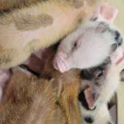 ヒメ日記 2025/02/15 17:25 投稿 ｈｉｔｏｍｉ（ひとみ） ソープランド メイド館 ラ・メイド