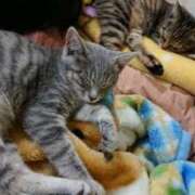 ヒメ日記 2025/03/24 14:27 投稿 ｈｉｔｏｍｉ（ひとみ） ソープランド メイド館 ラ・メイド