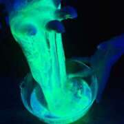 ヒメ日記 2024/12/22 10:33 投稿 杏奈（あんな） ソープランド メイド館 ラ・メイド