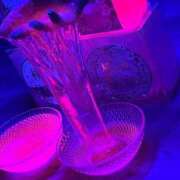 ヒメ日記 2025/04/25 13:04 投稿 杏奈（あんな） ソープランド メイド館 ラ・メイド