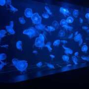 ヒメ日記 2025/07/23 09:15 投稿 杏奈（あんな） ソープランド メイド館 ラ・メイド