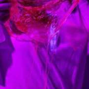 ヒメ日記 2025/08/05 16:57 投稿 杏奈（あんな） ソープランド メイド館 ラ・メイド