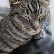 ヒメ日記 2025/01/07 19:15 投稿 みこ ソープランド メイド館 ラ・メイド