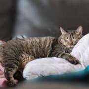 ヒメ日記 2025/02/03 18:19 投稿 みこ ソープランド メイド館 ラ・メイド