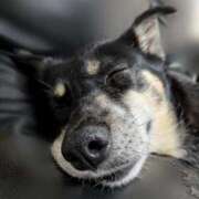 ヒメ日記 2025/02/12 20:51 投稿 みこ ソープランド メイド館 ラ・メイド