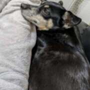 ヒメ日記 2025/03/02 06:09 投稿 みこ ソープランド メイド館 ラ・メイド