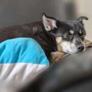 ヒメ日記 2025/03/03 10:35 投稿 みこ ソープランド メイド館 ラ・メイド