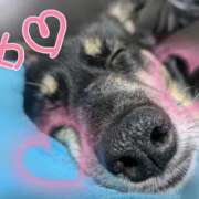 ヒメ日記 2025/03/13 07:33 投稿 みこ ソープランド メイド館 ラ・メイド