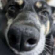 ヒメ日記 2025/03/17 05:27 投稿 みこ ソープランド メイド館 ラ・メイド