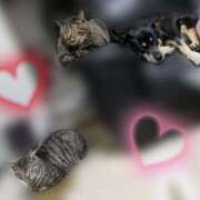 ヒメ日記 2025/04/03 14:04 投稿 みこ ソープランド メイド館 ラ・メイド