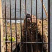 ヒメ日記 2025/04/15 17:35 投稿 みこ ソープランド メイド館 ラ・メイド