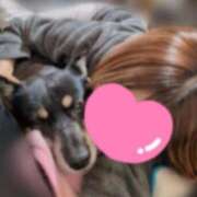 ヒメ日記 2025/04/22 21:35 投稿 みこ ソープランド メイド館 ラ・メイド