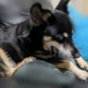 ヒメ日記 2025/05/02 17:49 投稿 みこ ソープランド メイド館 ラ・メイド