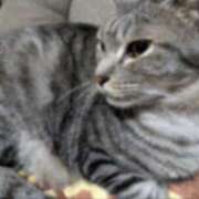 ヒメ日記 2025/06/06 20:51 投稿 みこ ソープランド メイド館 ラ・メイド