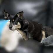 ヒメ日記 2025/06/29 04:03 投稿 みこ ソープランド メイド館 ラ・メイド