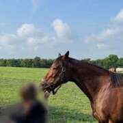 ヒメ日記 2025/07/05 12:18 投稿 みこ ソープランド メイド館 ラ・メイド