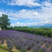 ヒメ日記 2025/07/11 05:12 投稿 みこ ソープランド メイド館 ラ・メイド