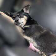 ヒメ日記 2025/11/14 07:27 投稿 みこ ソープランド メイド館 ラ・メイド